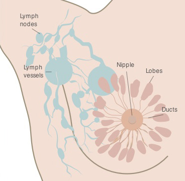 Understanding Your Diagnosis  